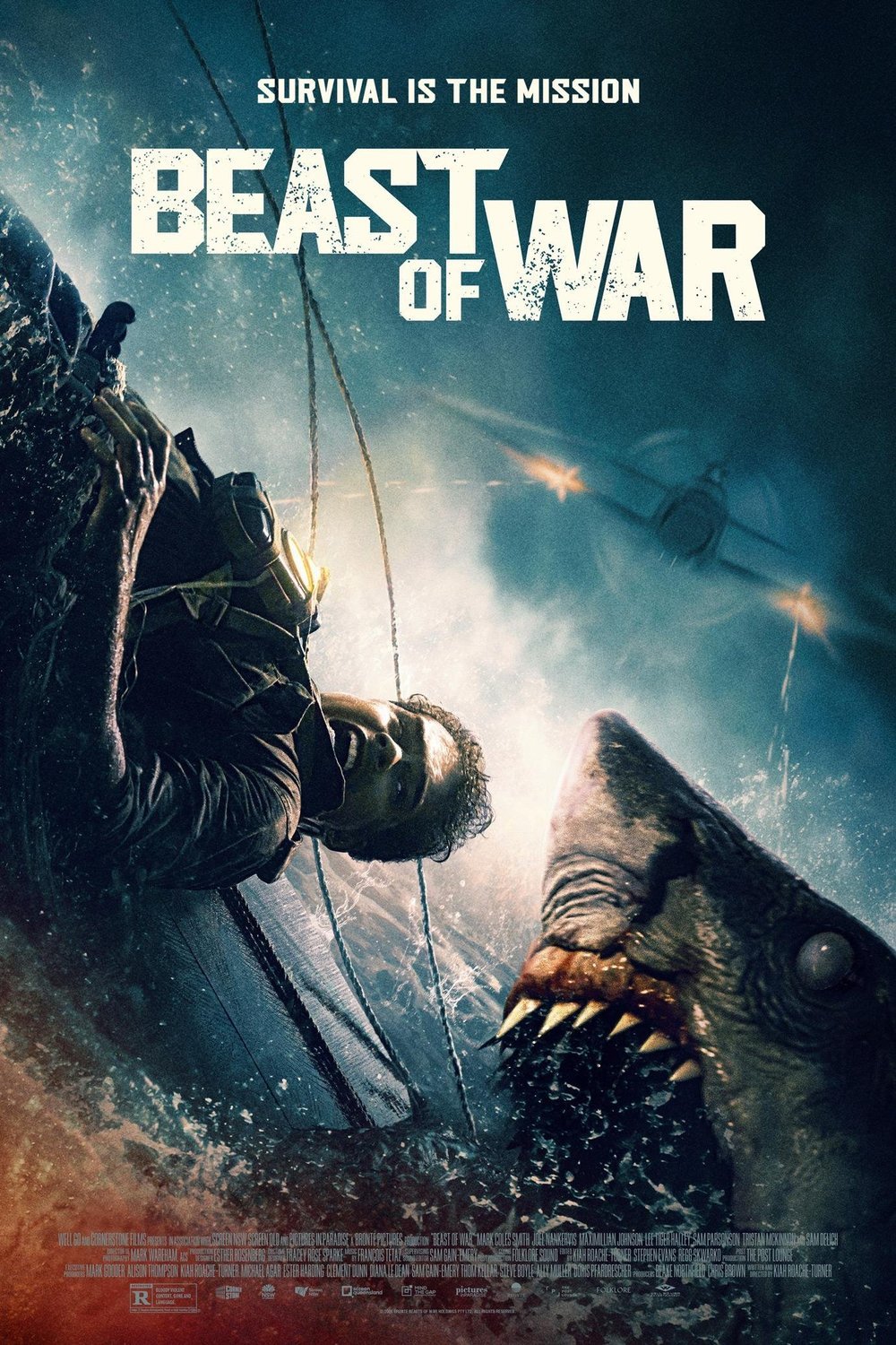 Poster of the movie Beast of War
