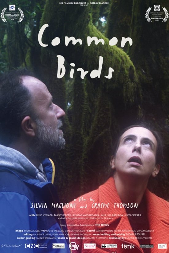 Poster of the movie Common Birds [2019]
