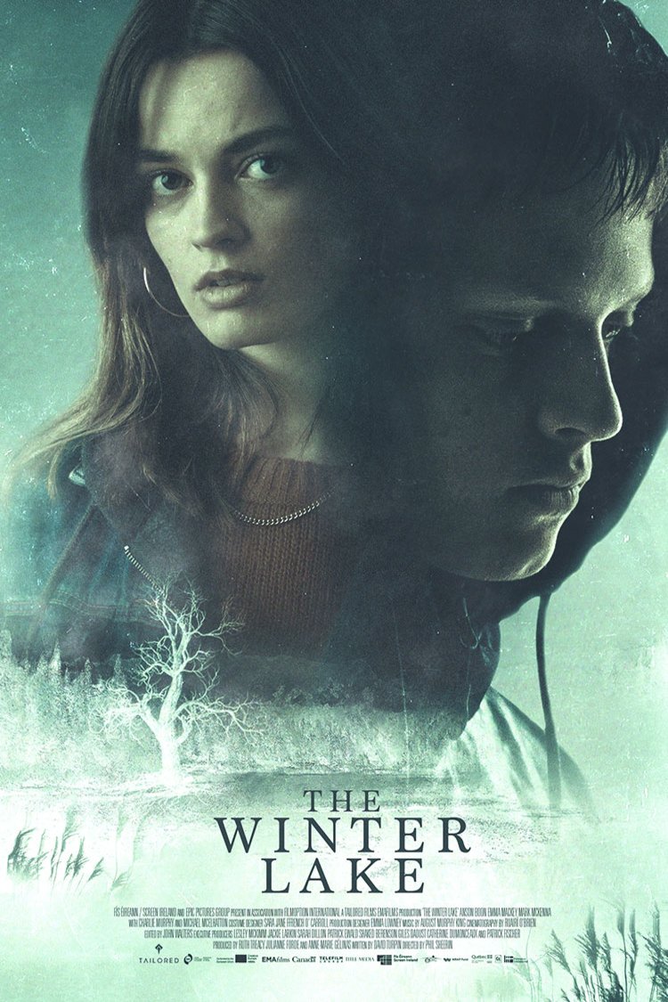 L'affiche du film The Winter Lake [2020]