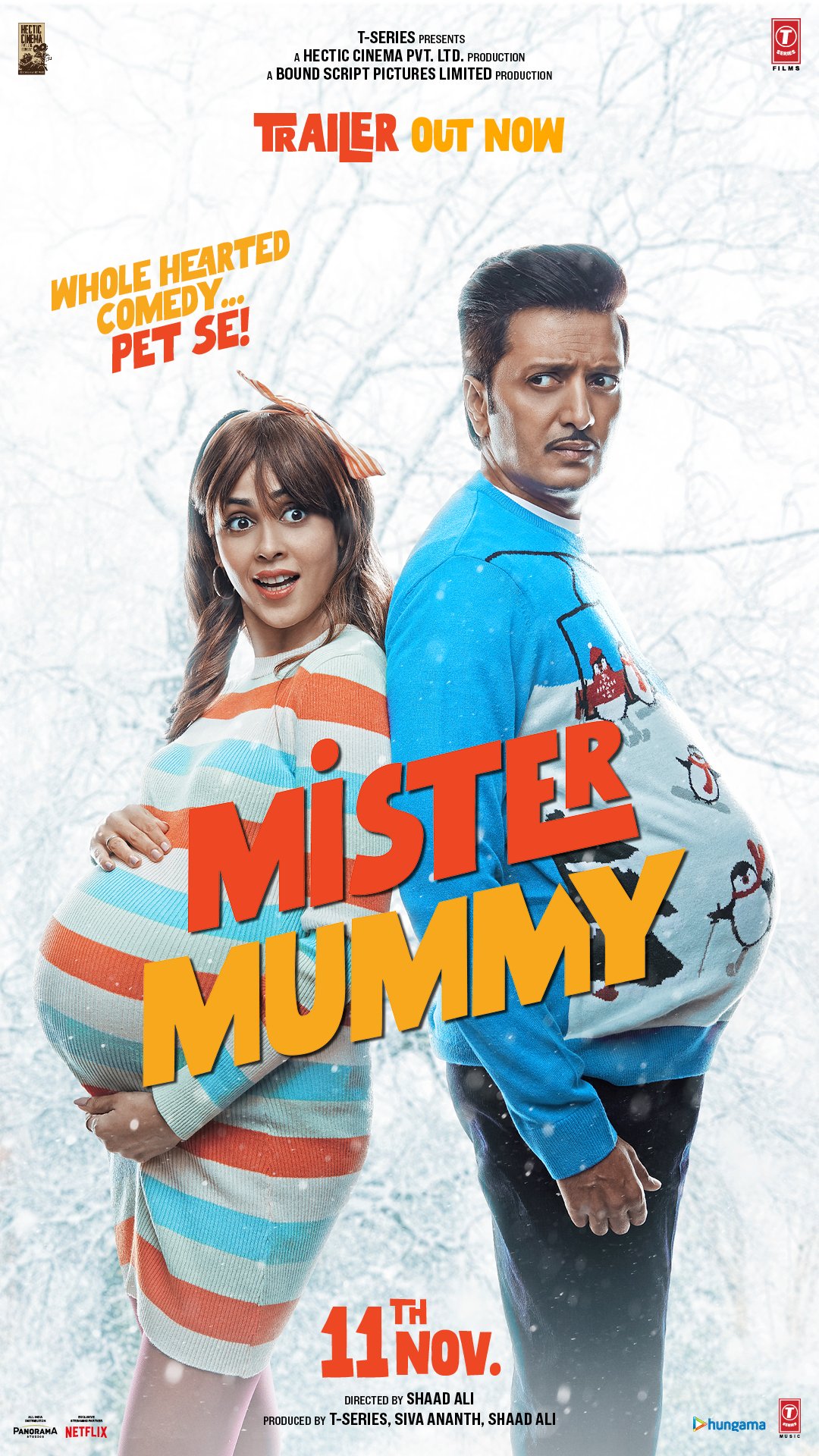Poster of the movie Mister Mummy