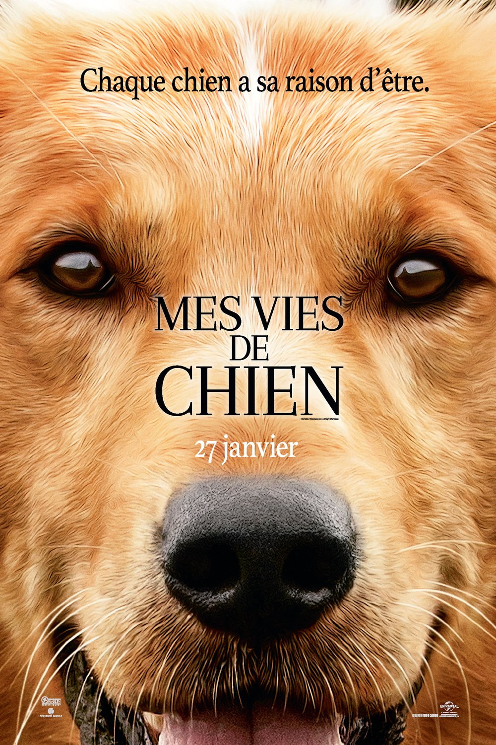 L'affiche du film Mes vies de chien [2017]