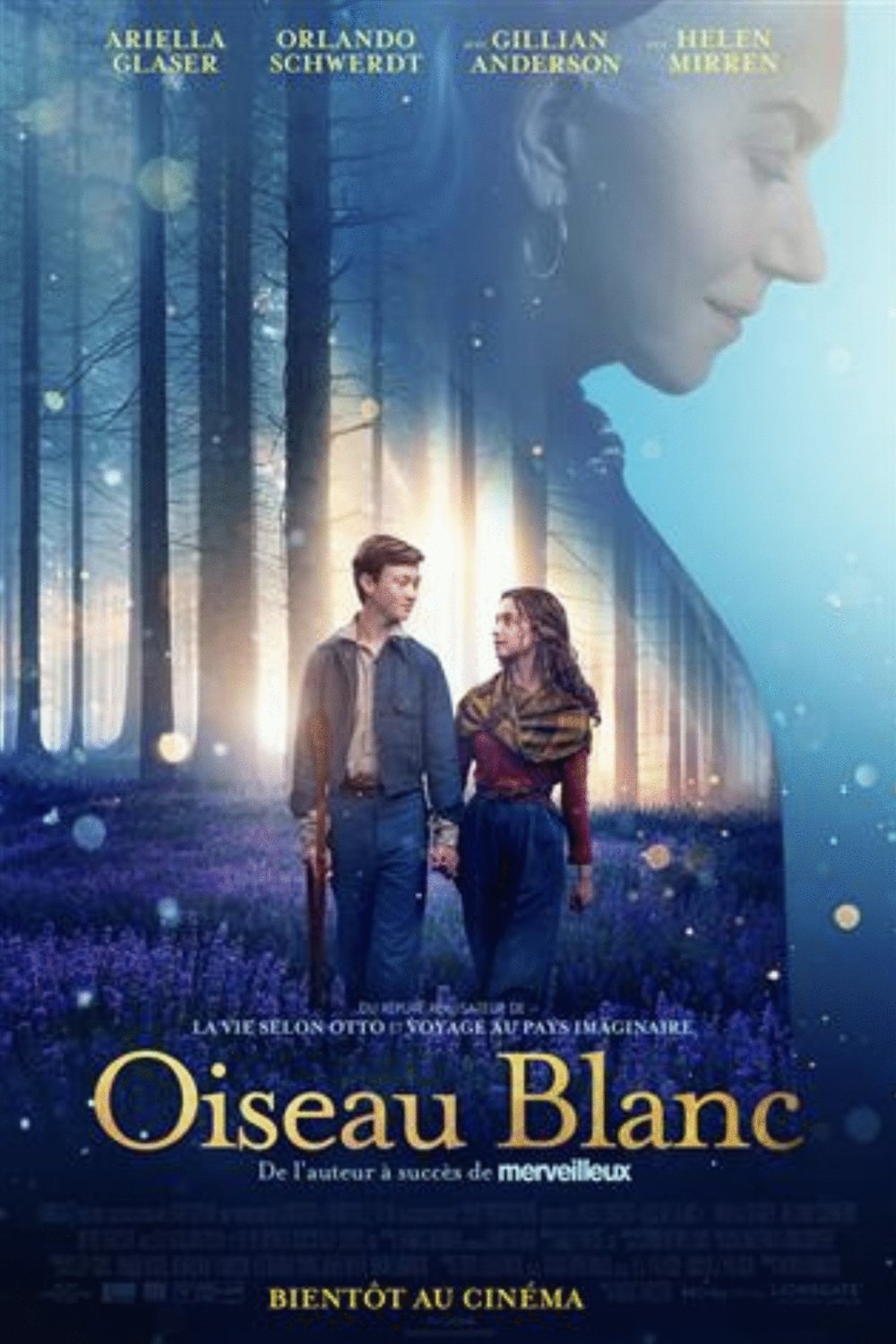 Poster of the movie Oiseau blanc
