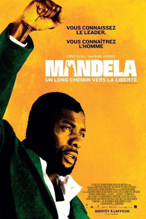 L'affiche du film Mandela: Un long chemin vers la liberté [2013]