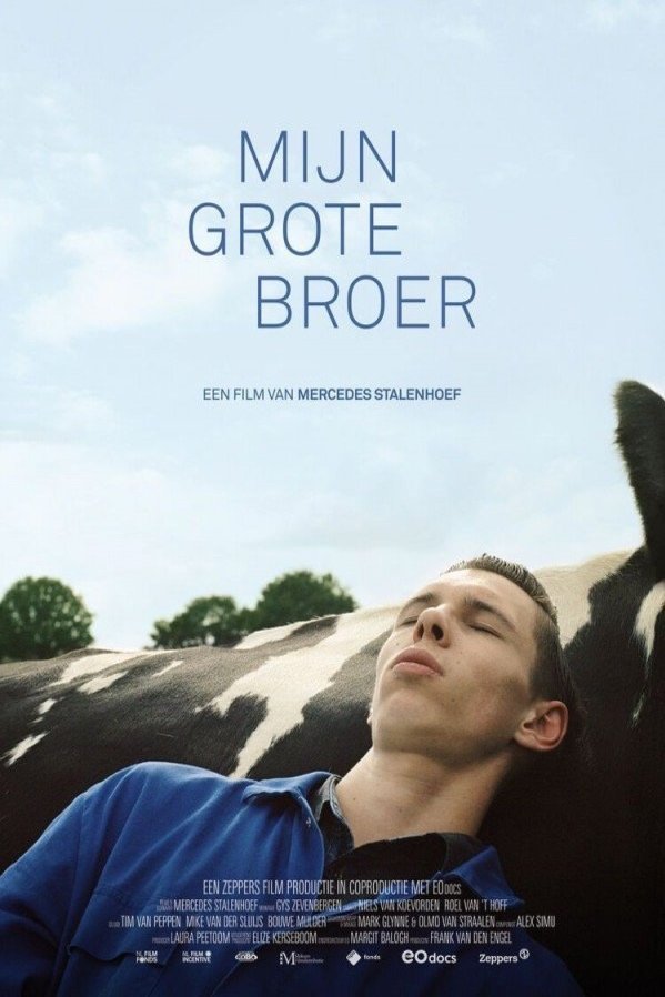 Poster of the movie Mijn grote broer