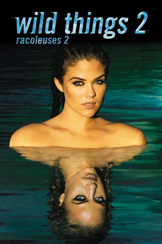 L'affiche du film Racoleuses 2 [2004]