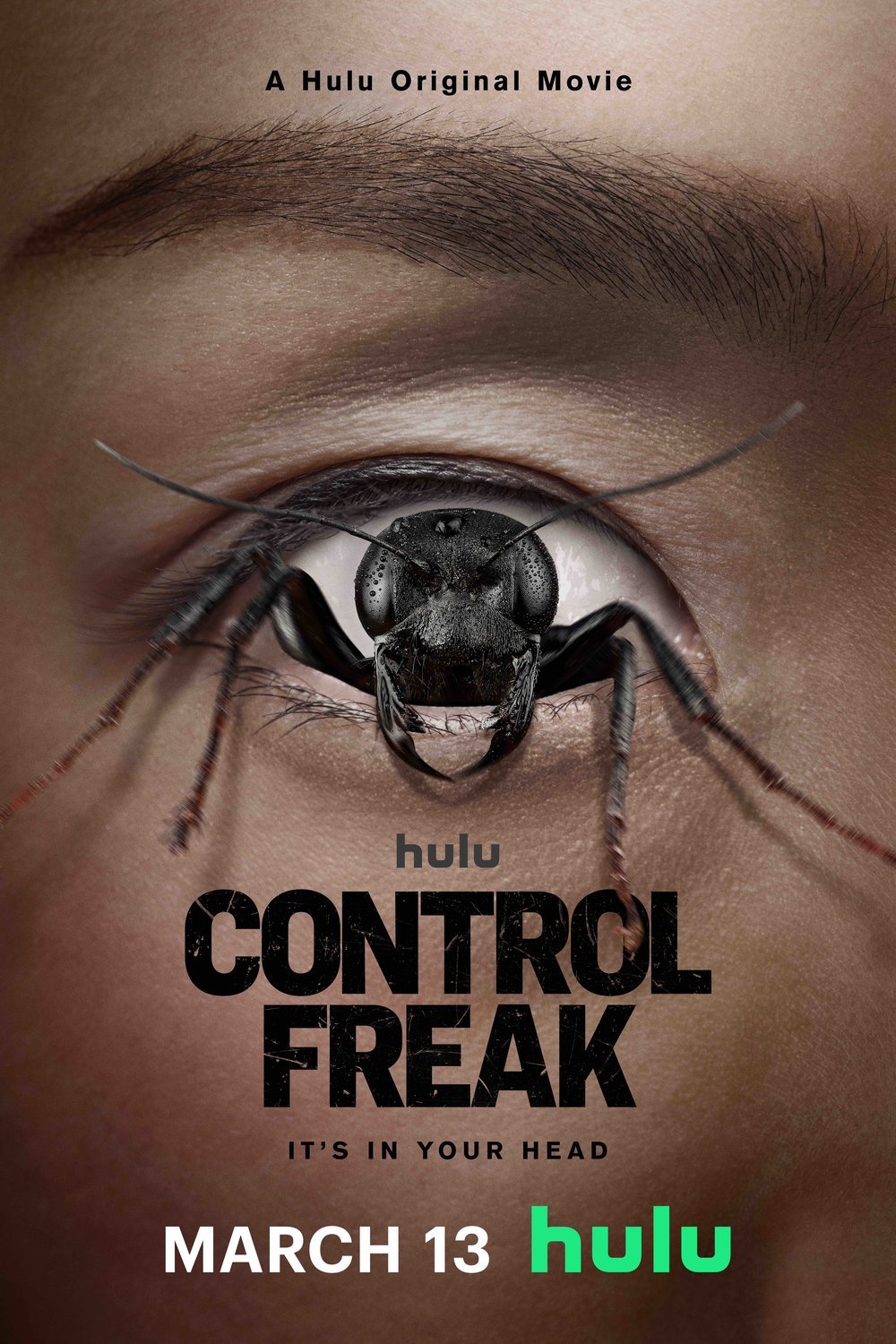 Poster of the movie Control Freak