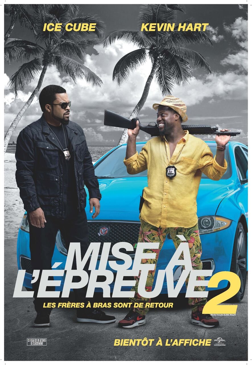 L'affiche du film Mise à l'épreuve 2 [2016]