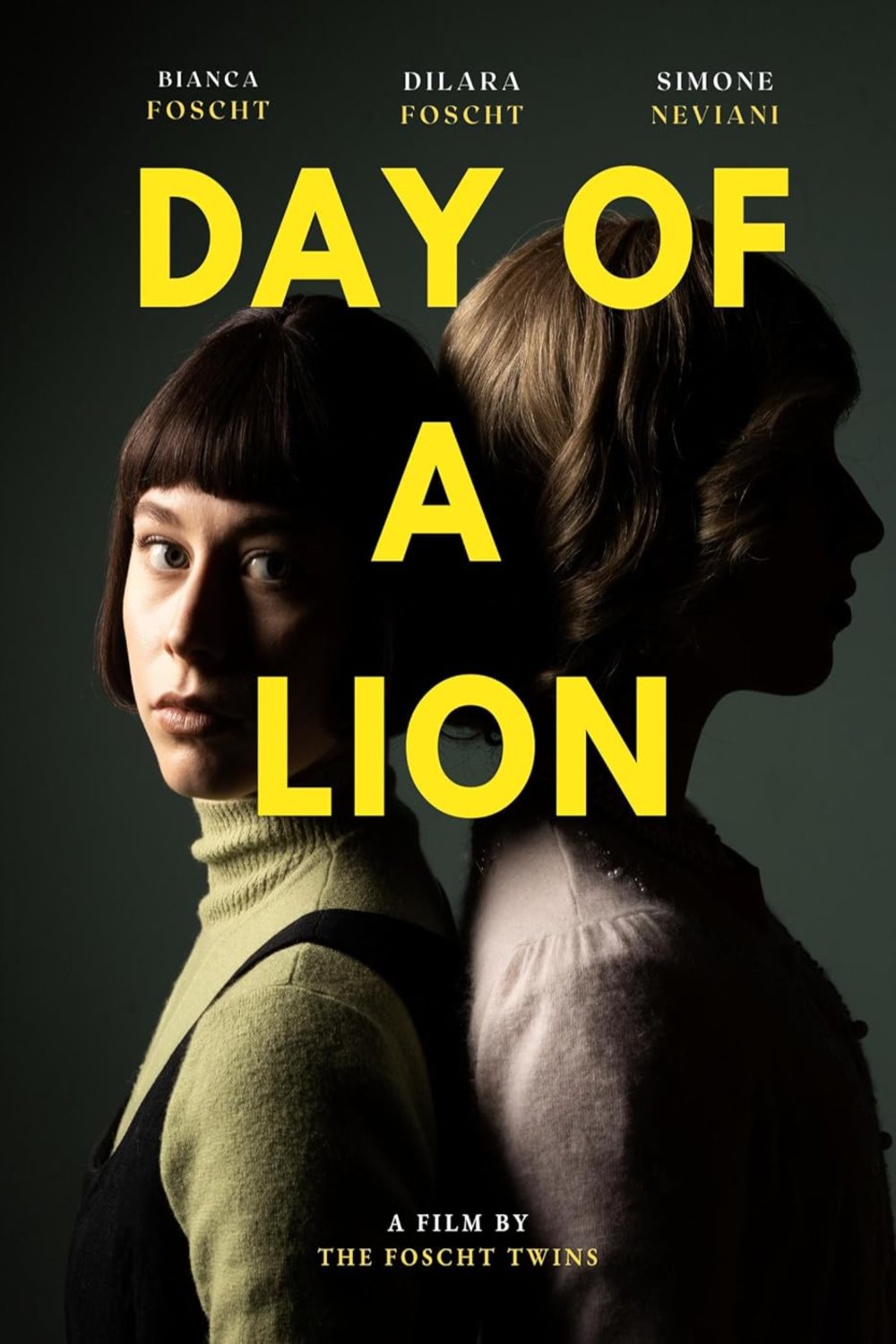 Poster of the movie Day of a Lion