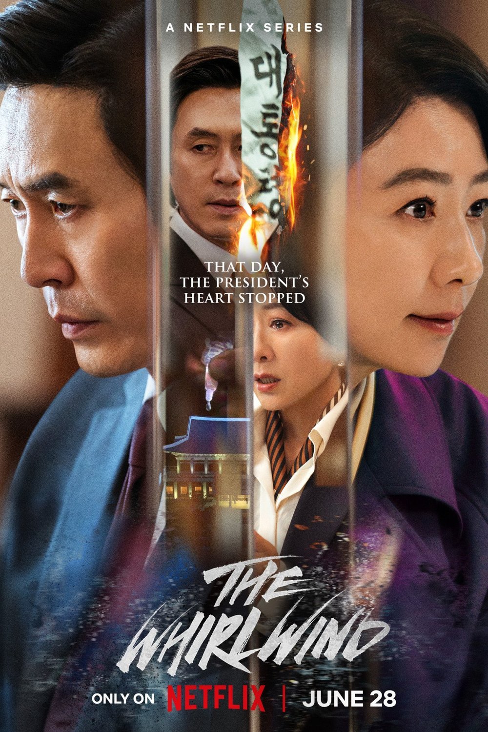 Poster of the movie The Whirlwind
