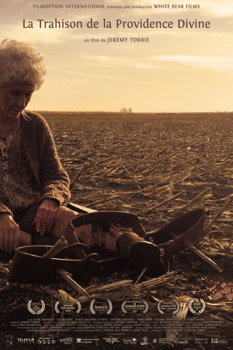 L'affiche du film La Trahison de la Providence Divine [2020]