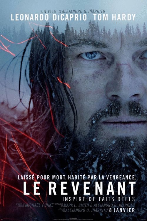 L'affiche du film Le Revenant v.f. [2015]