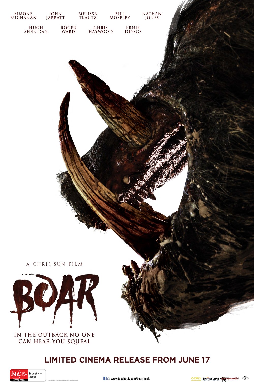 Poster of the movie Boar