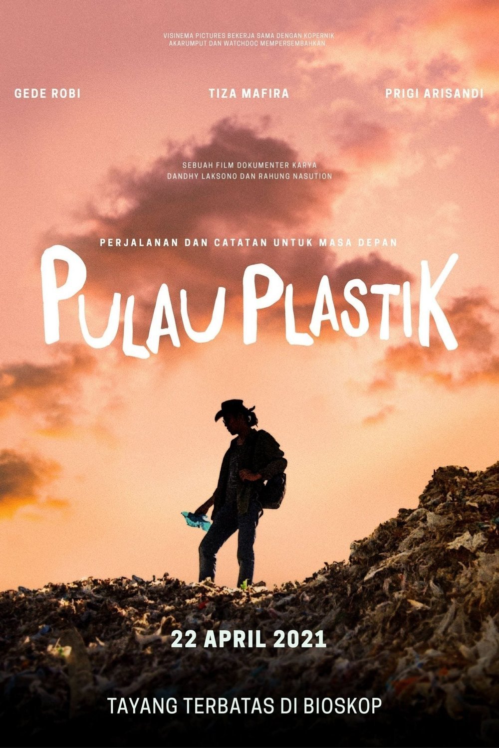Poster of the movie Plastic Island