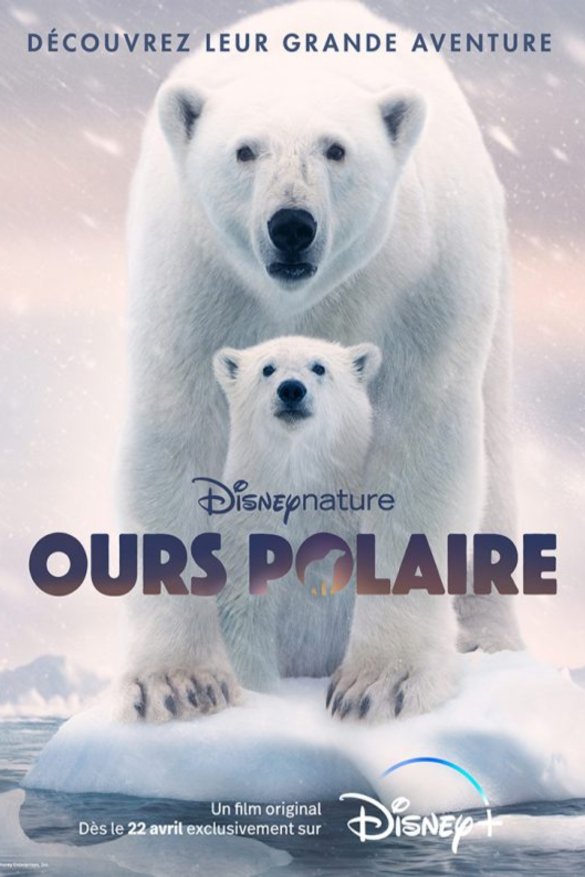 Poster of the movie Ours polaire