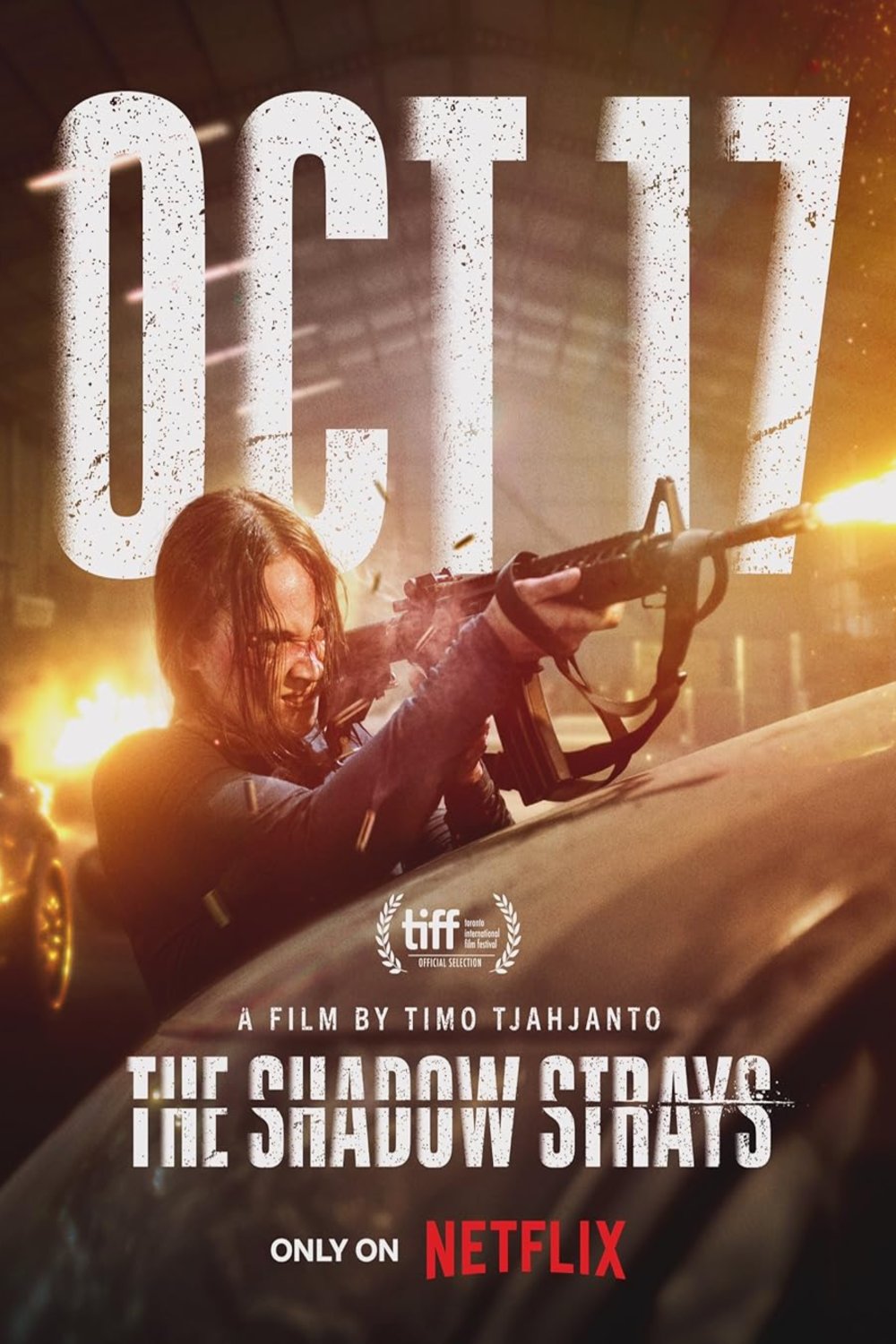 Poster of the movie The Shadow Strays