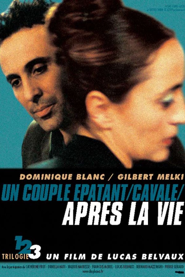 L'affiche du film Après la vie [2002]