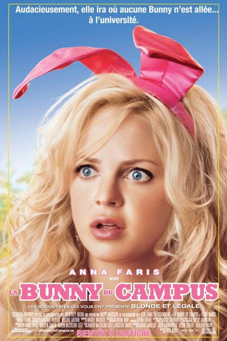 L'affiche du film La Bunny du campus [2008]