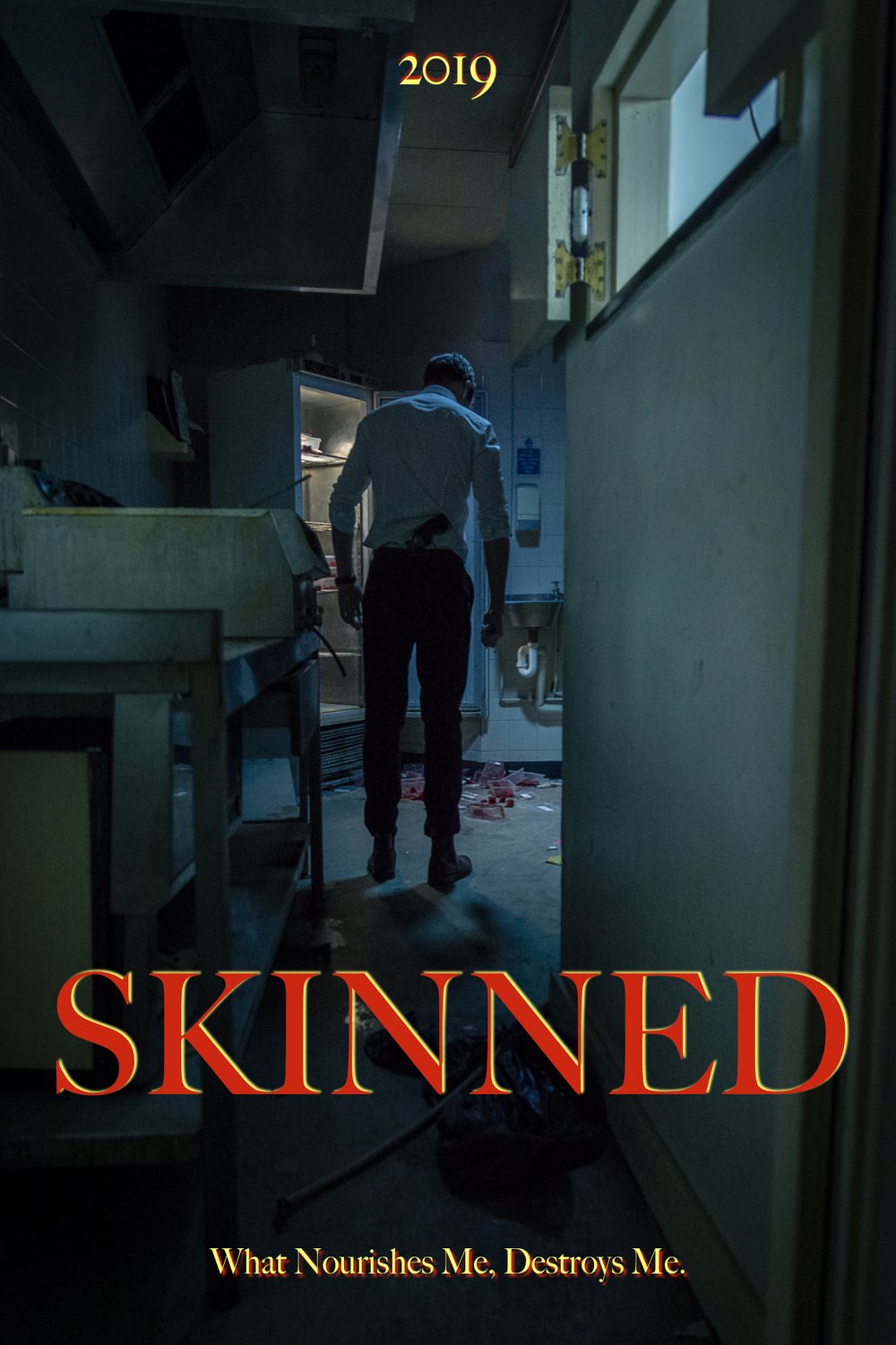 Poster of the movie Skinned