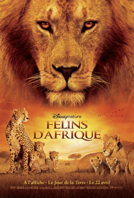 L'affiche du film Félins d'Afrique [2011]
