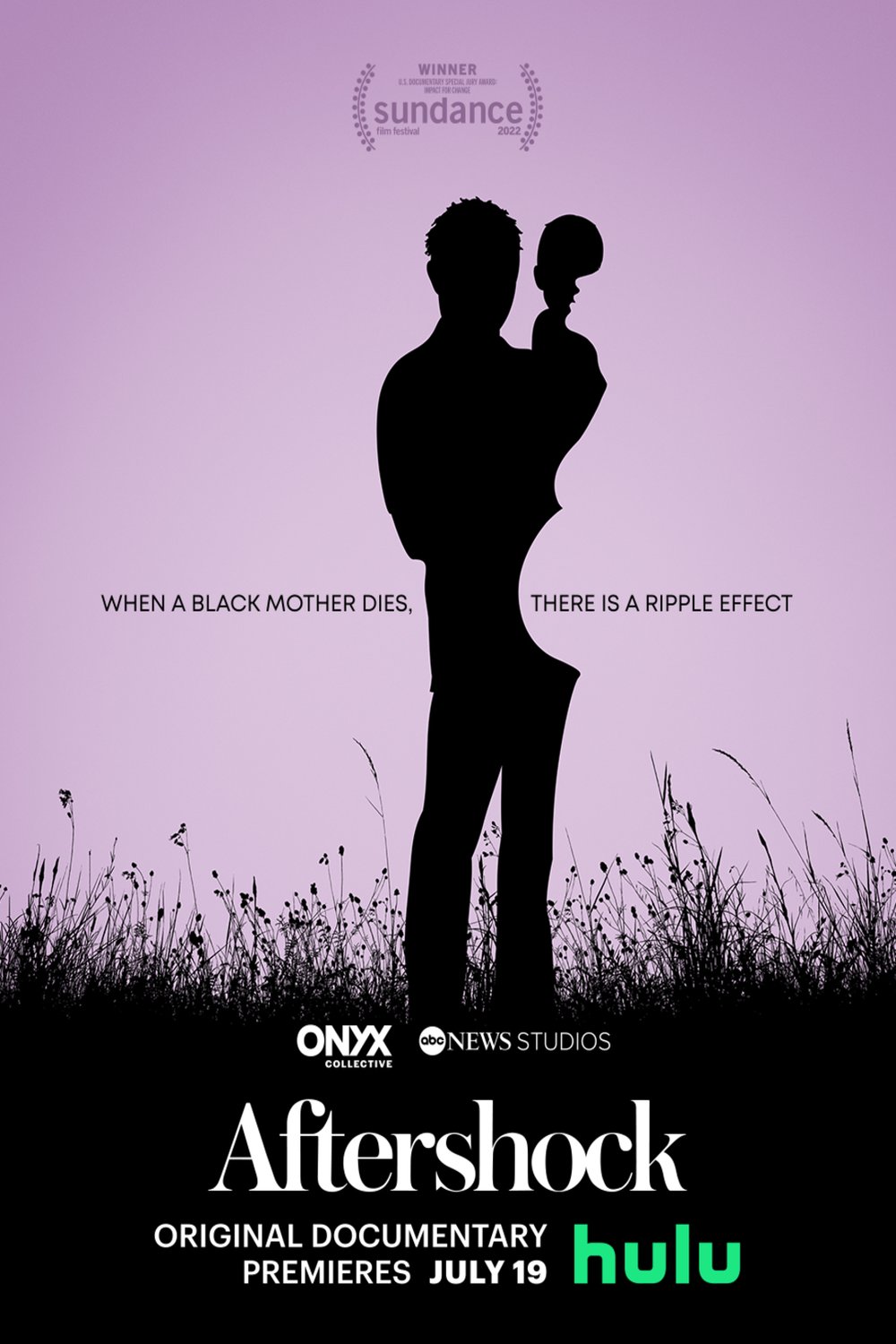 Poster of the movie Aftershock