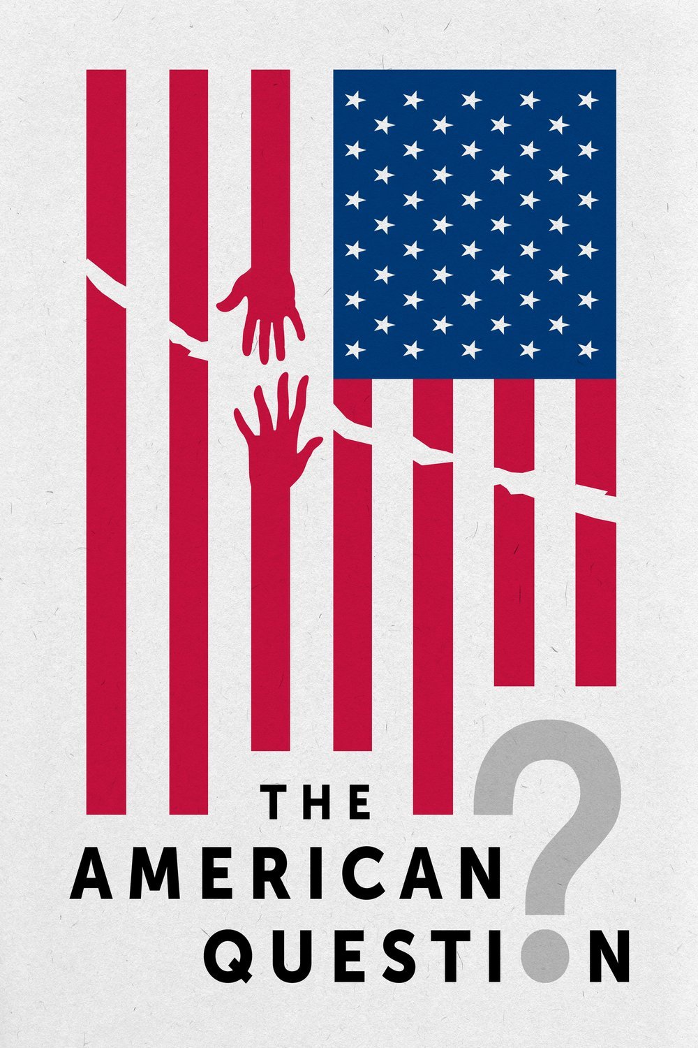 Poster of the movie The American Question