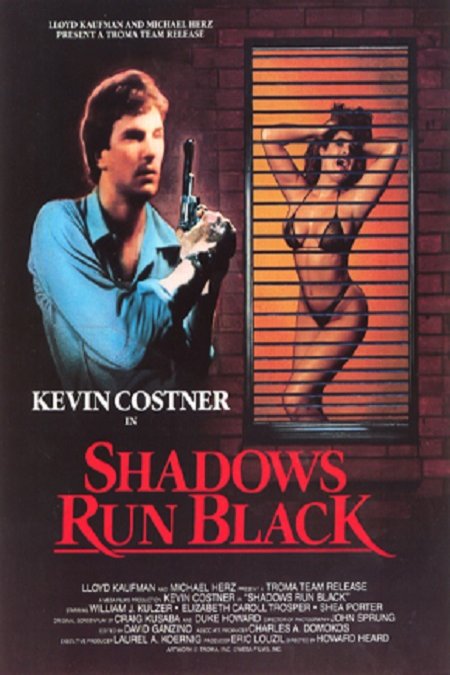 Poster of the movie Shadows Run Black