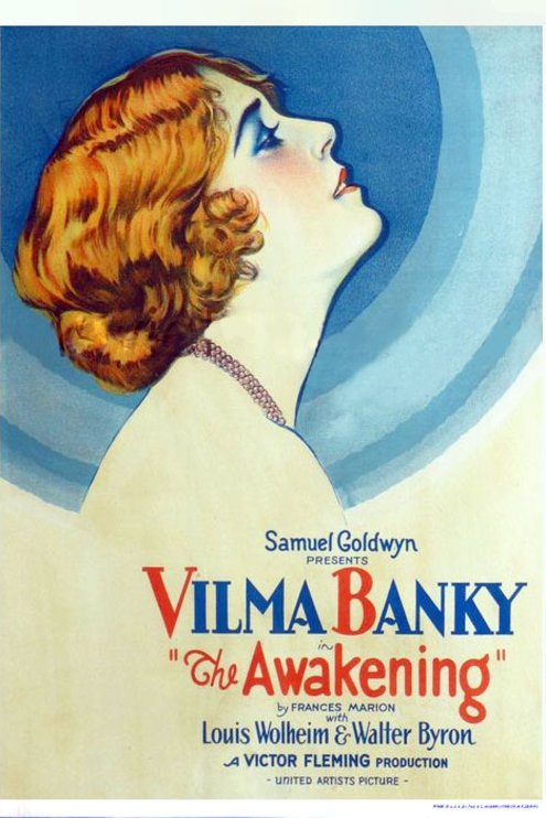 Poster of the movie The Awakening [1928]
