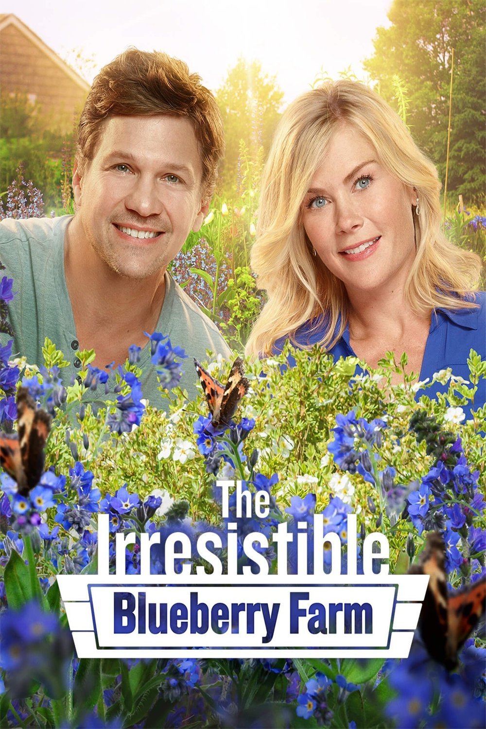 Poster of the movie The Irresistible Blueberry Farm [2016]