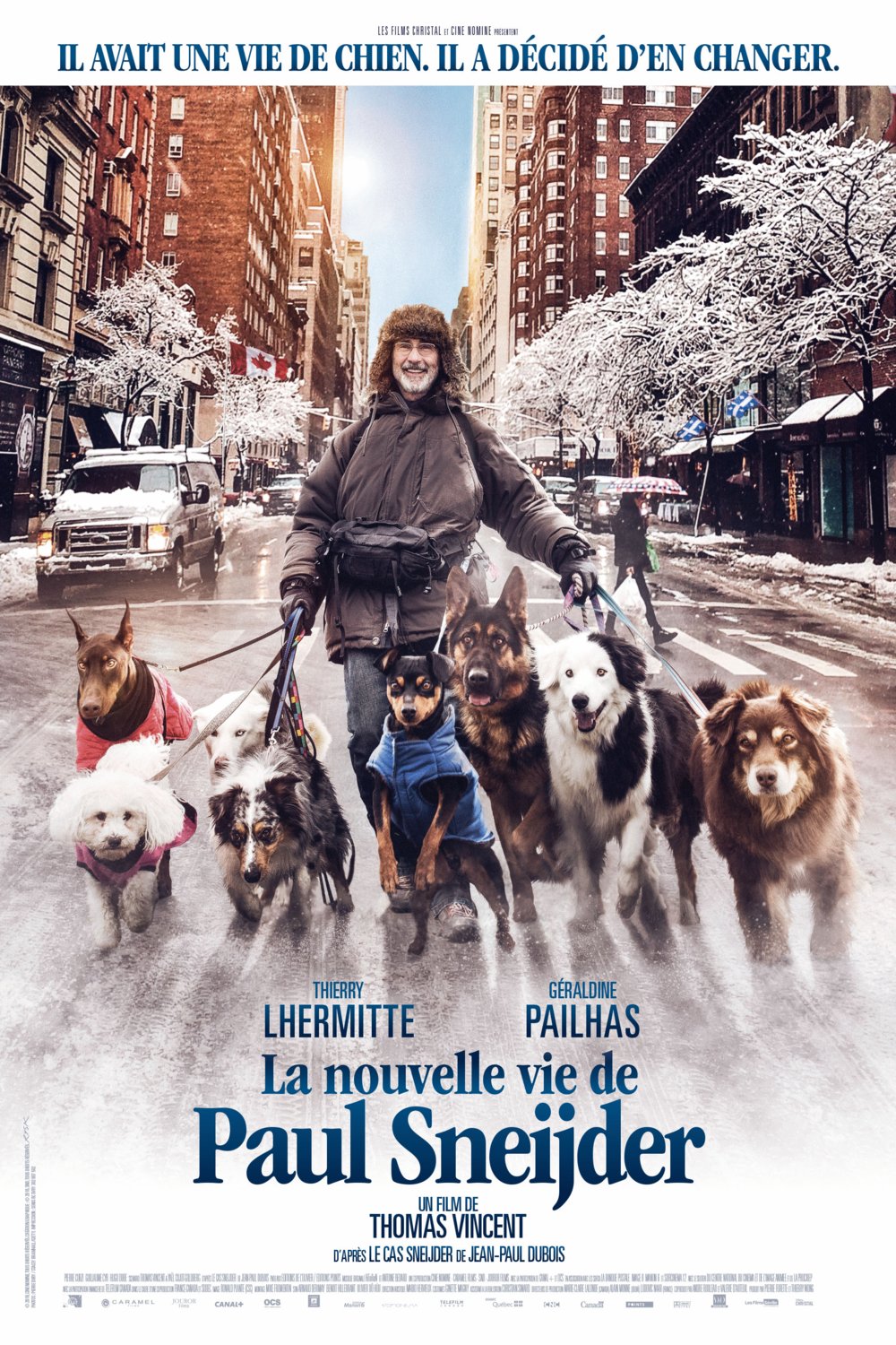 L'affiche du film La Nouvelle vie de Paul Sneijder [2016]