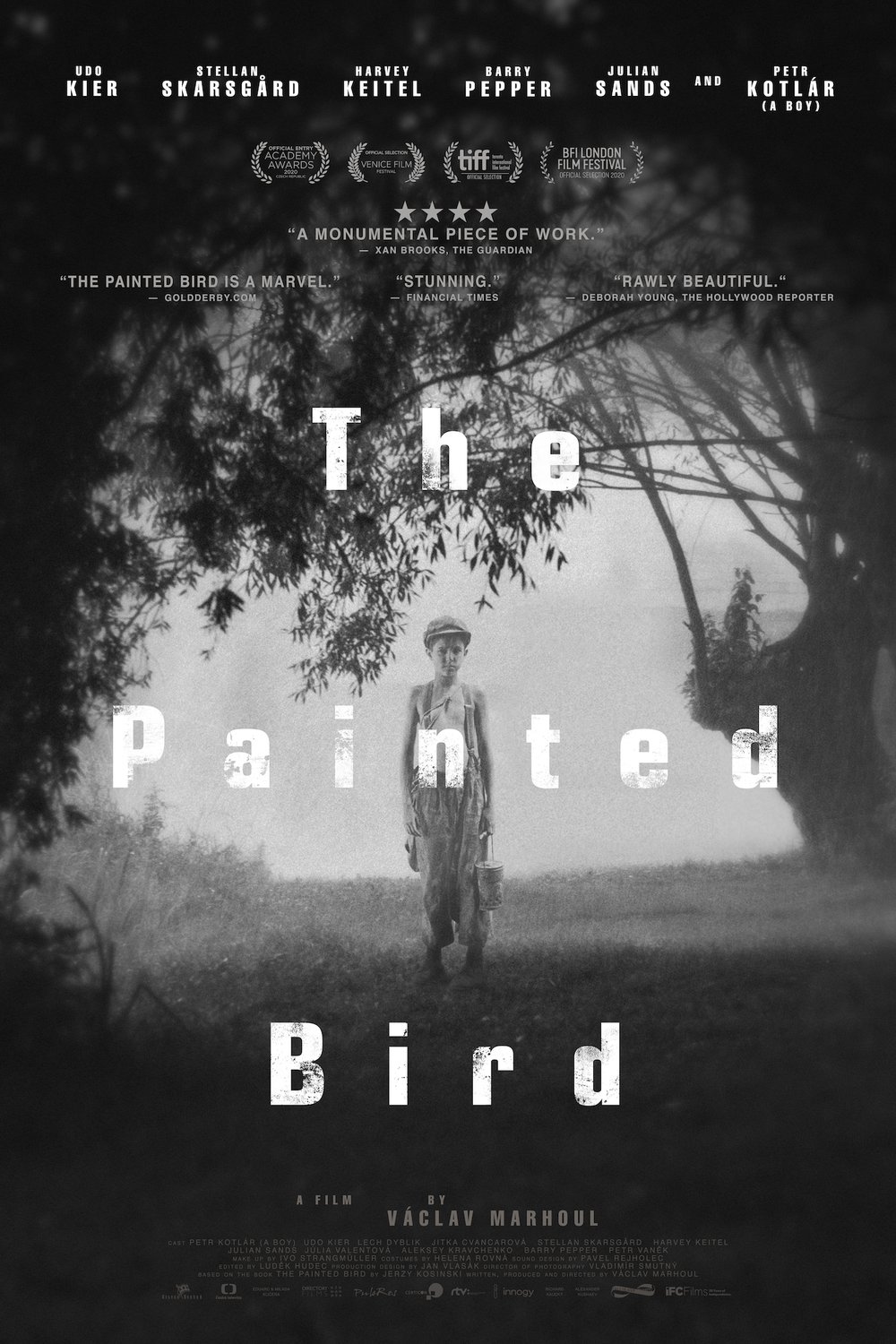 Poster of the movie The Painted Bird [2019]