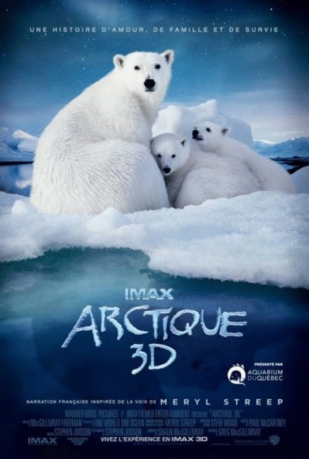 L'affiche du film Arctique [2012]