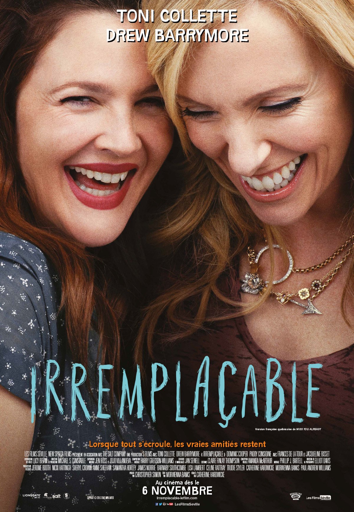 L'affiche du film Irremplaçable [2015]