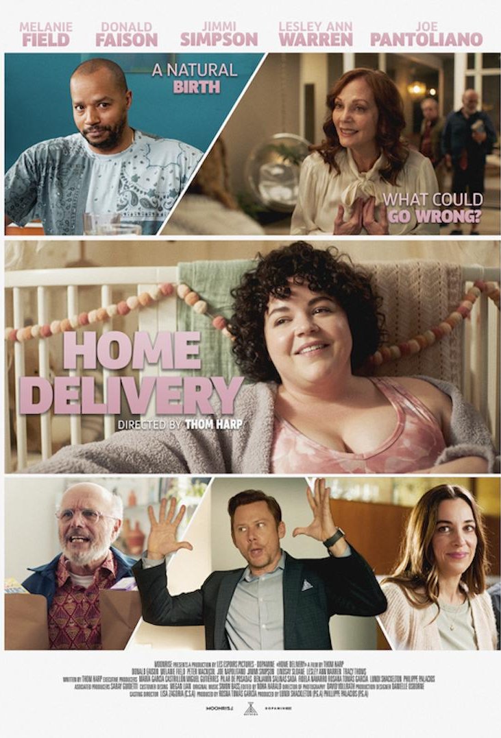 L'affiche du film Home Delivery [2025]