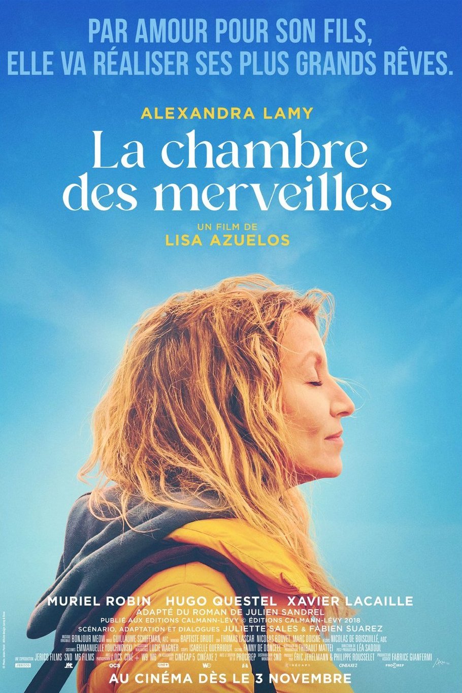 L'affiche du film La chambre des merveilles [2023]