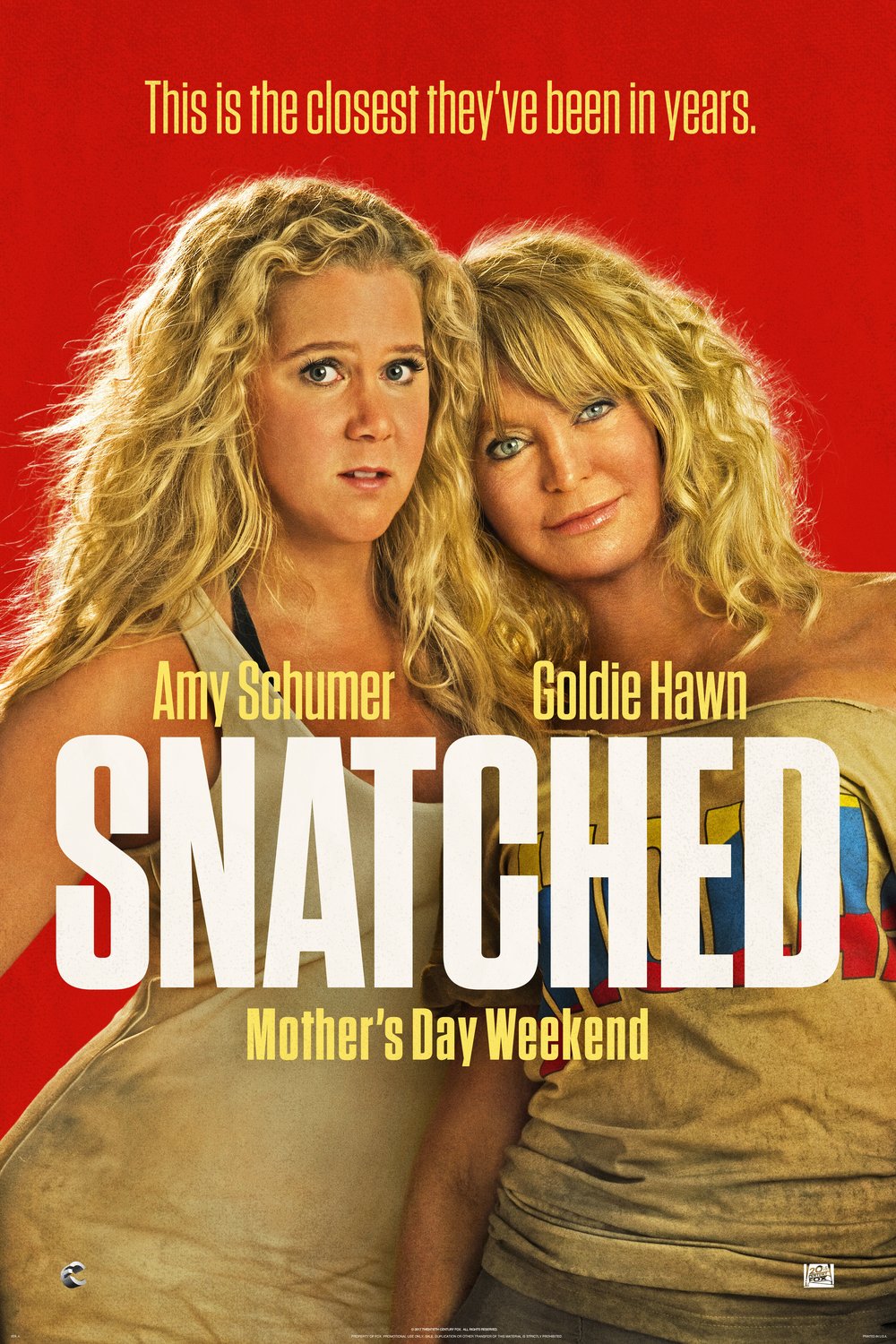 Poster of the movie Snatched [2017]