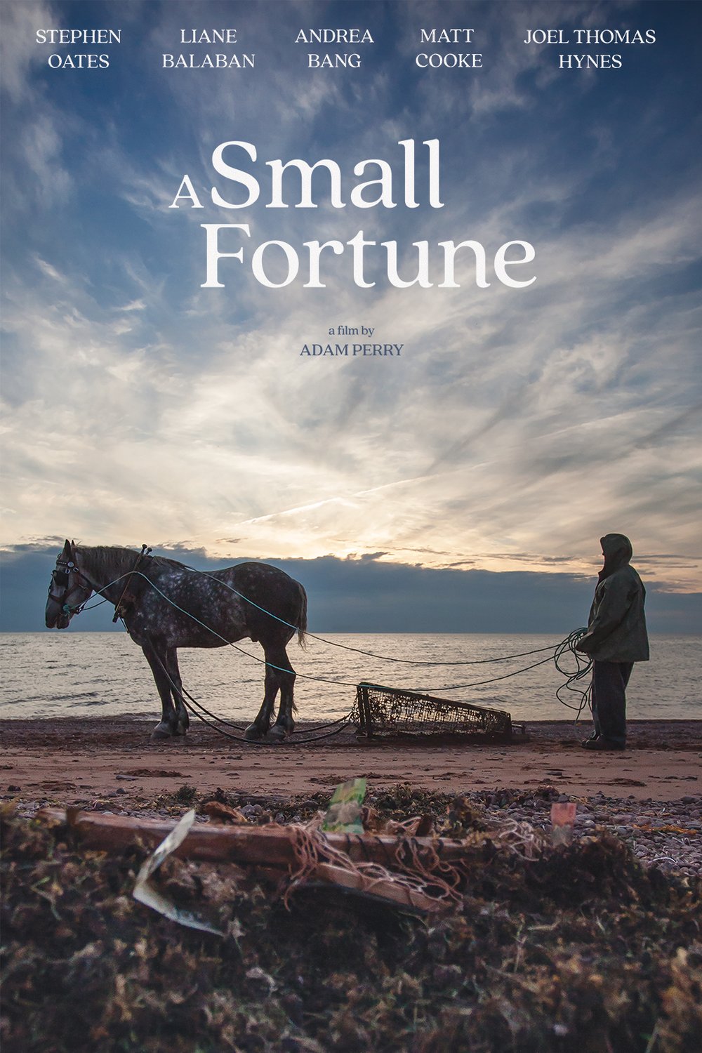 Poster of the movie A Small Fortune
