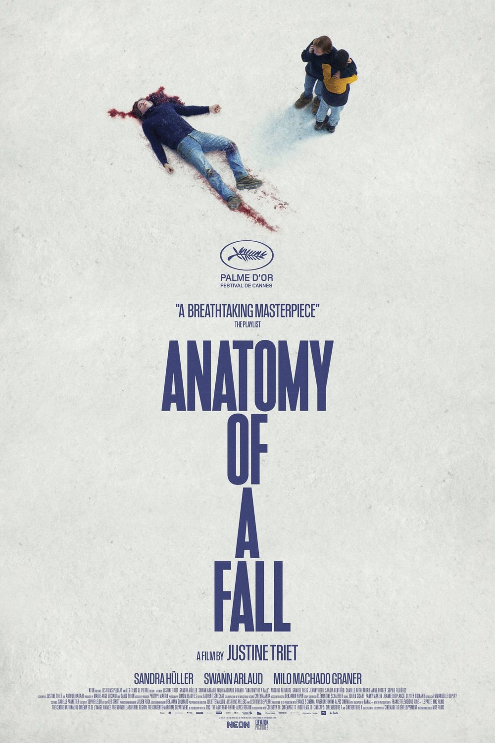 Poster of the movie Anatomy of a Fall