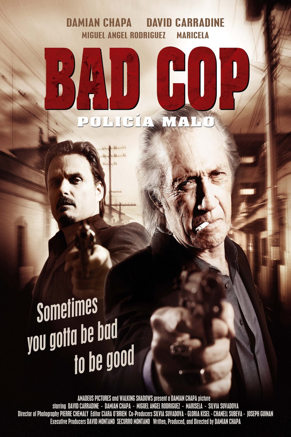 Poster of the movie Bad Cop [2009]