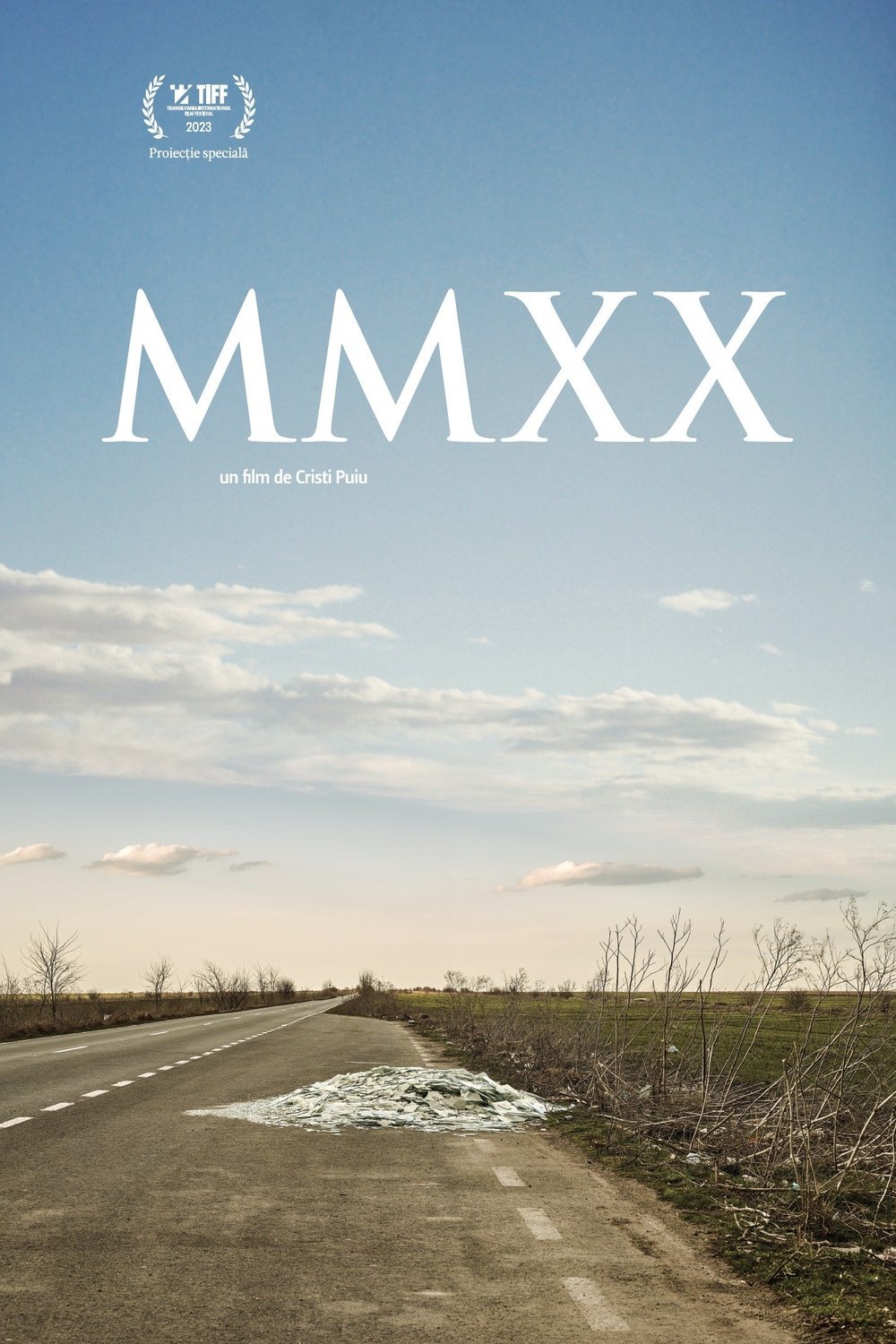 Poster of the movie MMXX