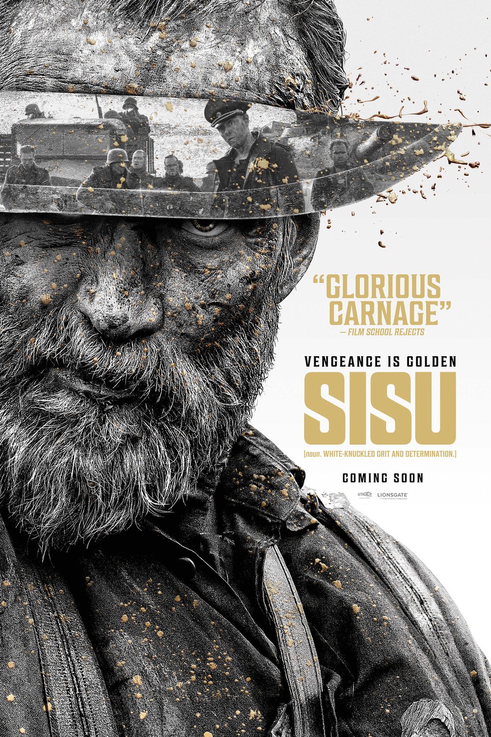 Poster of the movie Sisu
