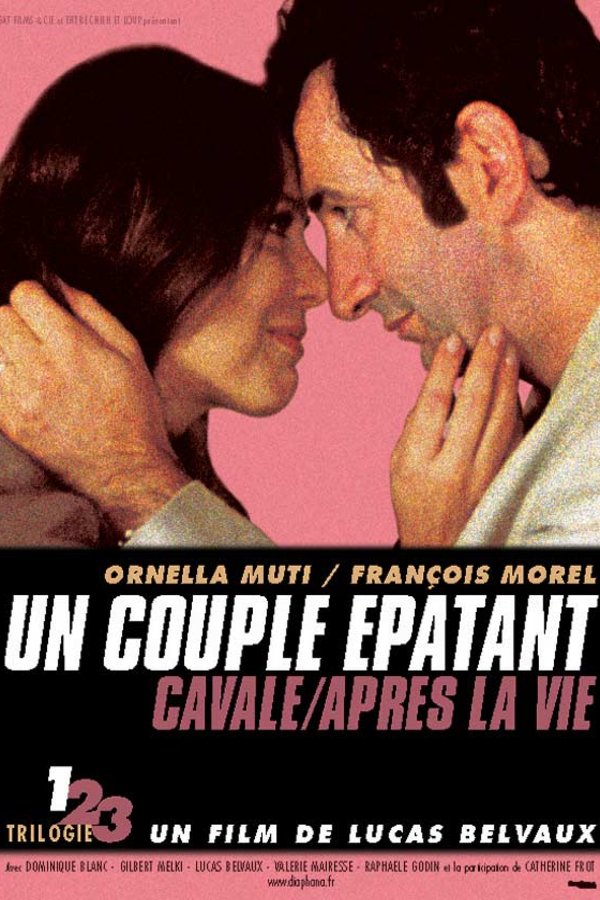 L'affiche du film Un Couple épatant [2002]