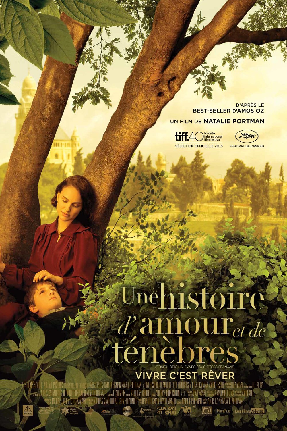 L'affiche du film Une histoire d'amour et de ténèbres [2015]