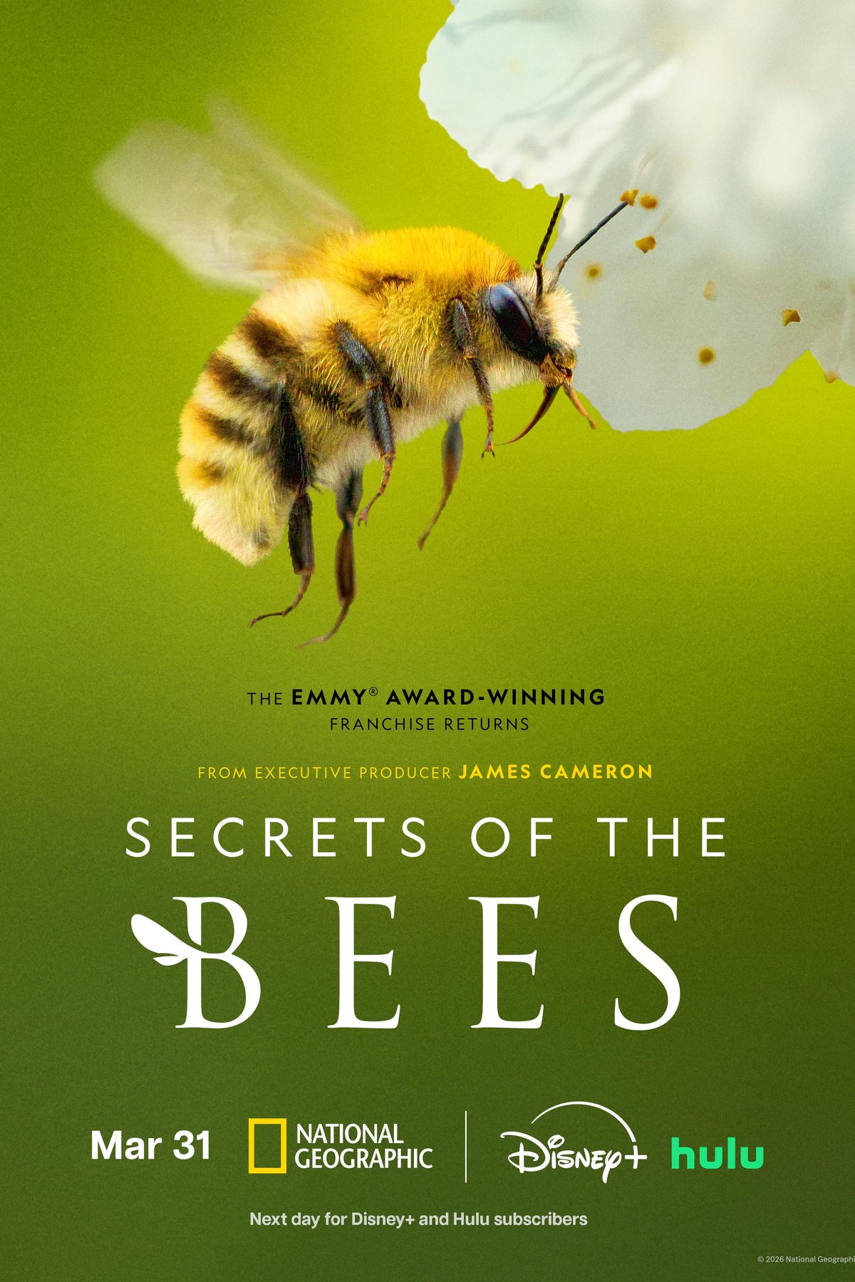 Poster of the movie Secrets of the Bees [2026]