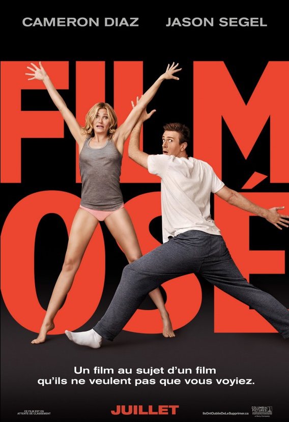 L'affiche du film Film osé [2014]