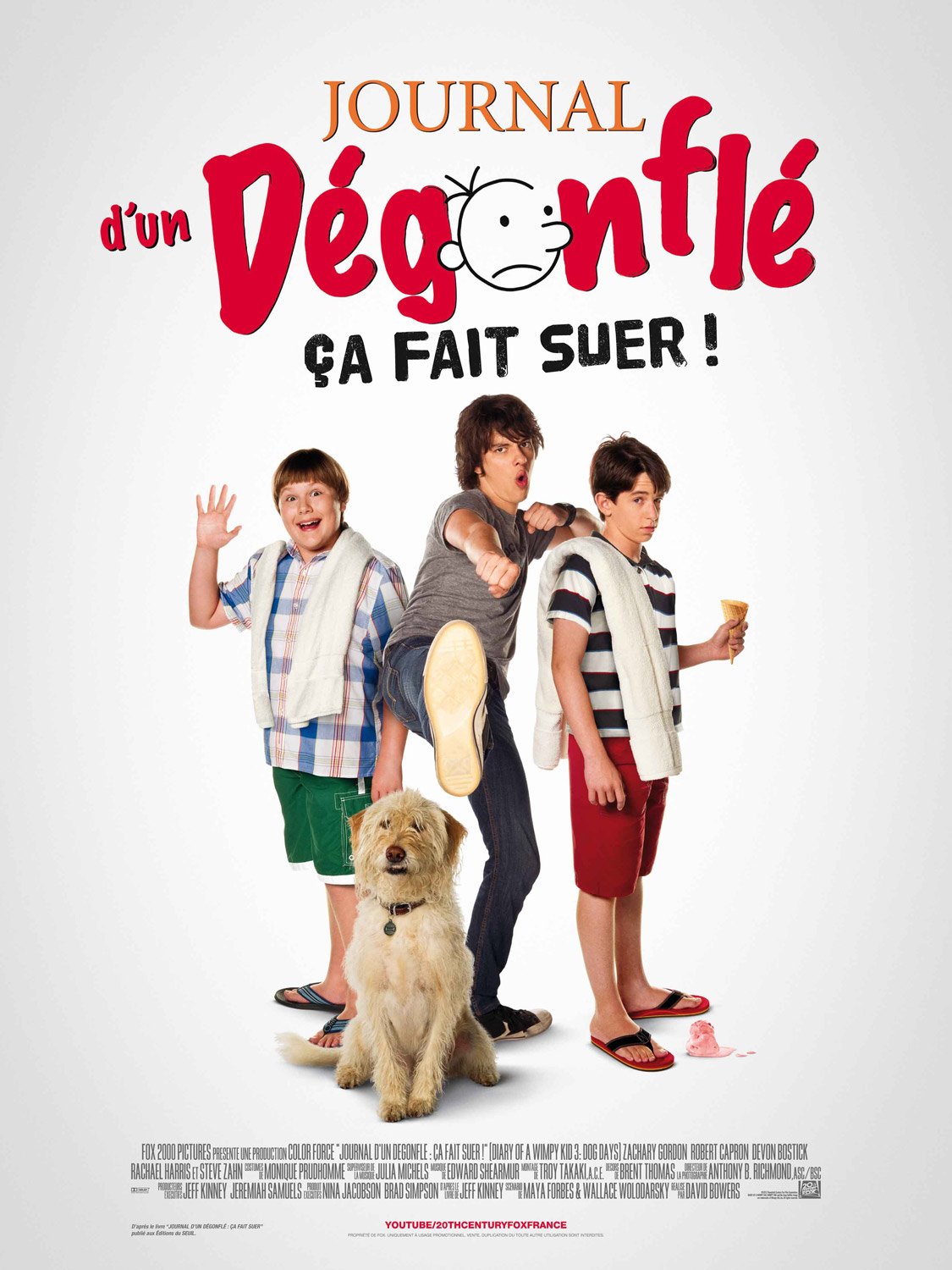 L'affiche du film Journal d'un dégonflé: Ça fait suer [2012]