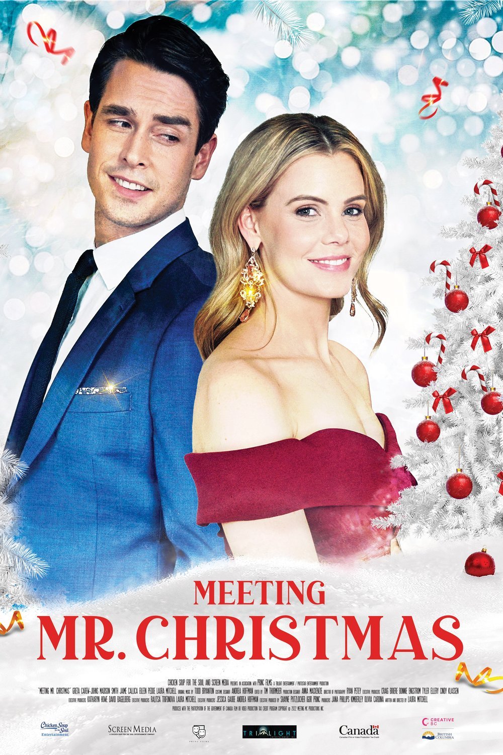 Poster of the movie Meeting Mr. Christmas [2022]