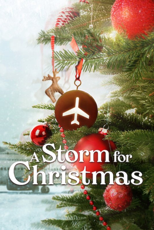 Poster of the movie A Storm for Christmas