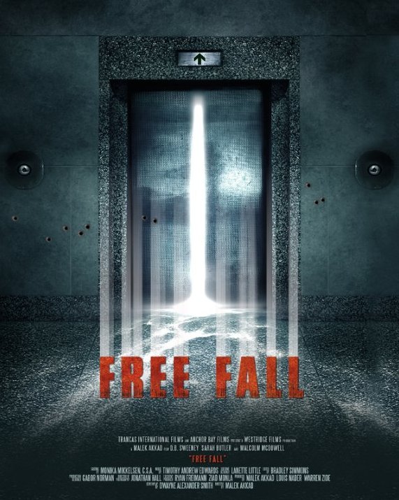 Poster of the movie Free Fall [2014]
