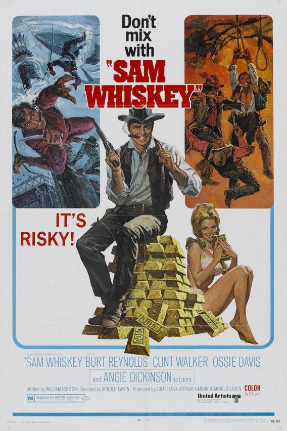 Poster of the movie Sam Whiskey [1969]