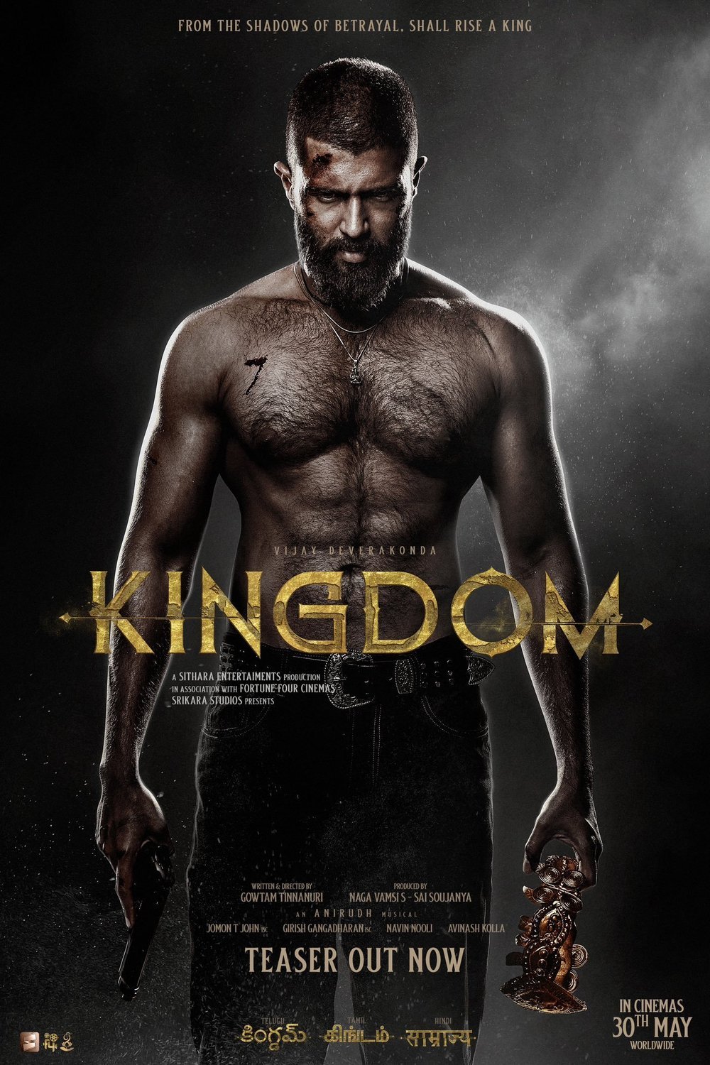 Poster of the movie Kingdom